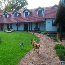 Kosbor Panzió Magyarszombatfa - Külső kép