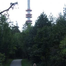 Hotel Lövér Sopron - Környék