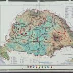 Ezer Év Parkja Mórahalom - Egyéb
