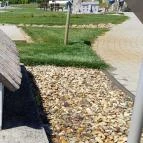 Ezer Év Parkja Mórahalom - Egyéb