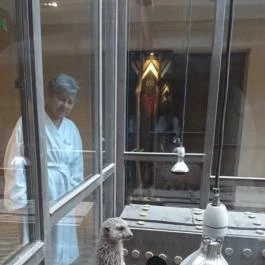 Bambara Hotel Felsőtárkány - Egyéb