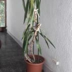 CE Napfény Hotel Siófok - Belső