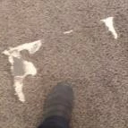 CE Plaza Hotel Siófok - Egyéb