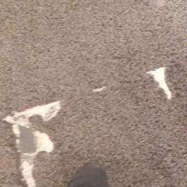 CE Plaza Hotel Siófok - Egyéb