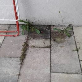 Édenkert Apartmanház, Gyula - Egyéb