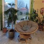 Fészek Apartmanház Gyula - Egyéb