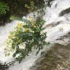 Hotel Tókert Lillafüred - Környék