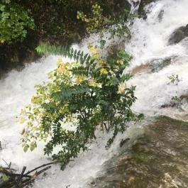 Hotel Tókert Lillafüred - Környék