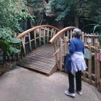 Sóstó Zoo - Nyíregyházi Állatpark Nyíregyháza - 