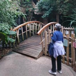 Sóstó Zoo - Nyíregyházi Állatpark Nyíregyháza - Egyéb