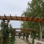 Danubius Hotel Annabella Balatonfüred - Környék