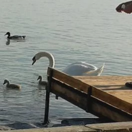 Danubius Hotel Annabella, Balatonfüred - Környék