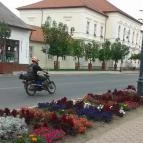 Kincsem Wellness Hotel Kisbér - Környék