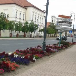 Kincsem Wellness Hotel Kisbér - Környék