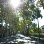 Hotel Platán Székesfehérvár Székesfehérvár - Környék