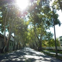 Hotel Platán Székesfehérvár, Székesfehérvár - Környék