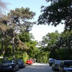 Kis Rigó Vendéglő Pilisszentlászló - Egyéb