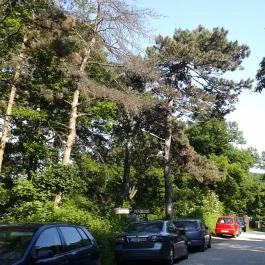 Kis Rigó Vendéglő Pilisszentlászló - Egyéb