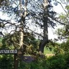 Kis Rigó Vendéglő Pilisszentlászló - Külső kép