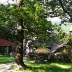 Kis Rigó Vendéglő Pilisszentlászló - Külső kép