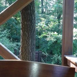 Kis Rigó Vendéglő Pilisszentlászló - Külső kép