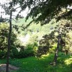 Kis Rigó Vendéglő Pilisszentlászló - Egyéb