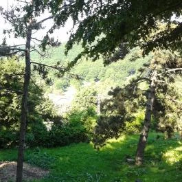 Kis Rigó Vendéglő Pilisszentlászló - Egyéb