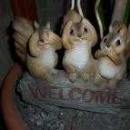 Park Panzió étterme Hédervár - Egyéb