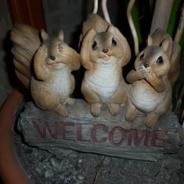 Park Panzió étterme, Hédervár - Egyéb