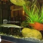 Semmi Extra & Egy Kis Kert Budapest - Belső