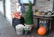 A Szűcs Fogadója Szada