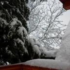 Ulbert Pince Vendégház Szederkény - Környék