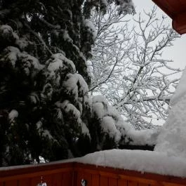 Ulbert Pince Vendégház Szederkény - Környék