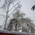 Ulbert Pince Vendégház Szederkény - Környék