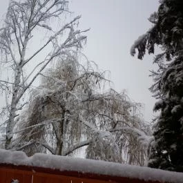 Ulbert Pince Vendégház Szederkény - Környék