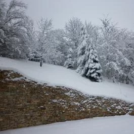 Ulbert Pince Vendégház Szederkény - Környék
