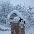 Ulbert Pince Vendégház Szederkény - Medence/kert