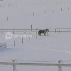 Ulbert Pince Vendégház Szederkény - Környék