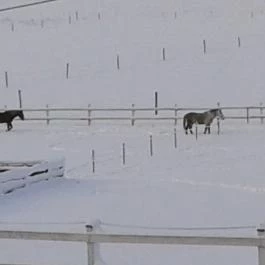 Ulbert Pince Vendégház Szederkény - Környék