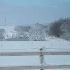 Ulbert Pince Vendégház Szederkény - Környék