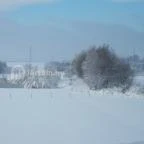 Ulbert Pince Vendégház Szederkény - Környék