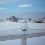 Ulbert Pince Vendégház Szederkény - Környék