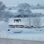 Ulbert Pince Vendégház Szederkény - Környék