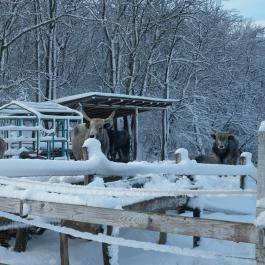 Ulbert Pince Vendégház Szederkény - Környék