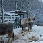 Ulbert Pince Vendégház Szederkény - Környék