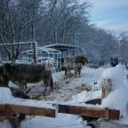 Ulbert Pince Vendégház Szederkény - Környék