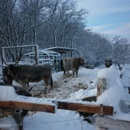 Ulbert Pince Vendégház Szederkény - Környék