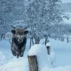 Ulbert Pince Vendégház Szederkény - Környék