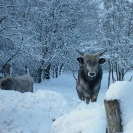 Ulbert Pince Vendégház Szederkény - Környék