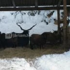 Ulbert Pince Vendégház Szederkény - Környék